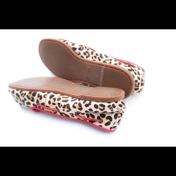 Sperry flats - Picture 10 of 14